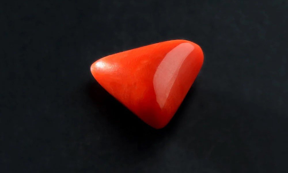 Triangle Red Coral (Moonga)